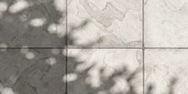 Patios limpio de hojas y suciedades al contratar una empresa de limpieza